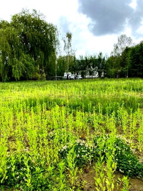 Działka budowlana Stara Wieś. Zdjęcie 3