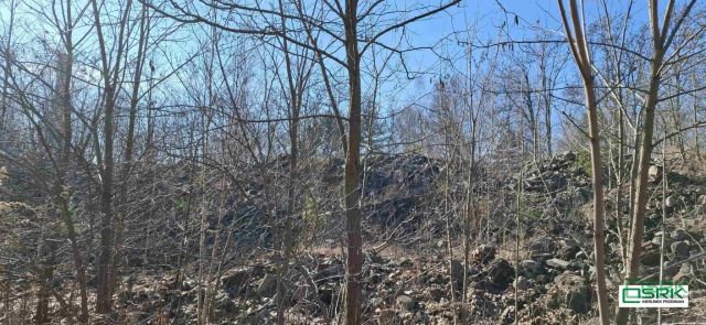 Działka inna Sosnowiec Porąbka, ul. Minerów. Zdjęcie 13