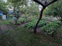 Działka rod Koronowo. Zdjęcie 2