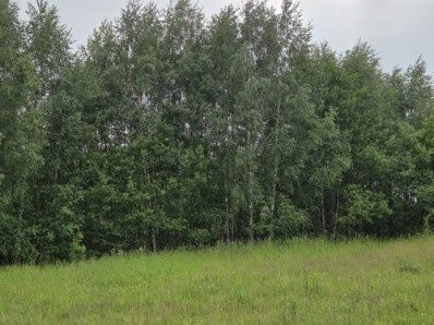 Działka siedliskowa Iwanówka. Zdjęcie 7