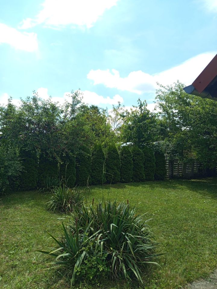 Działka rod Świdnica, ul. Pogodna. Zdjęcie 7