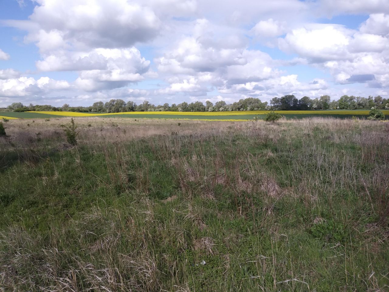 Działka rolno-budowlana Ustowo. Zdjęcie 3