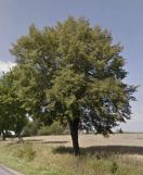 Działka budowlana Zebrzydów. Zdjęcie 4