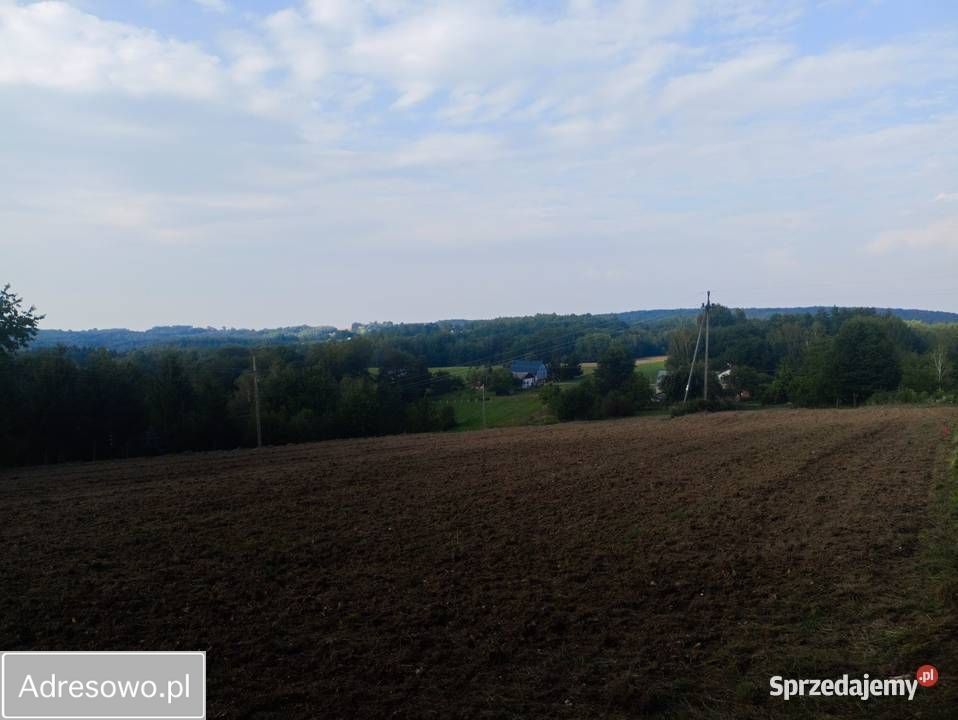 Działka rolno-budowlana Straszydle. Zdjęcie 3