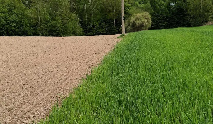 Działka rolna Kazimierz Dolny