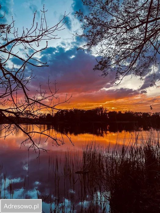 Działka rekreacyjna Trzcińsko-Zdrój. Zdjęcie 8