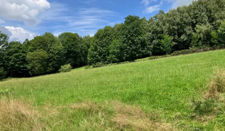 Działka budowlana Brenna, ul. Topolowa