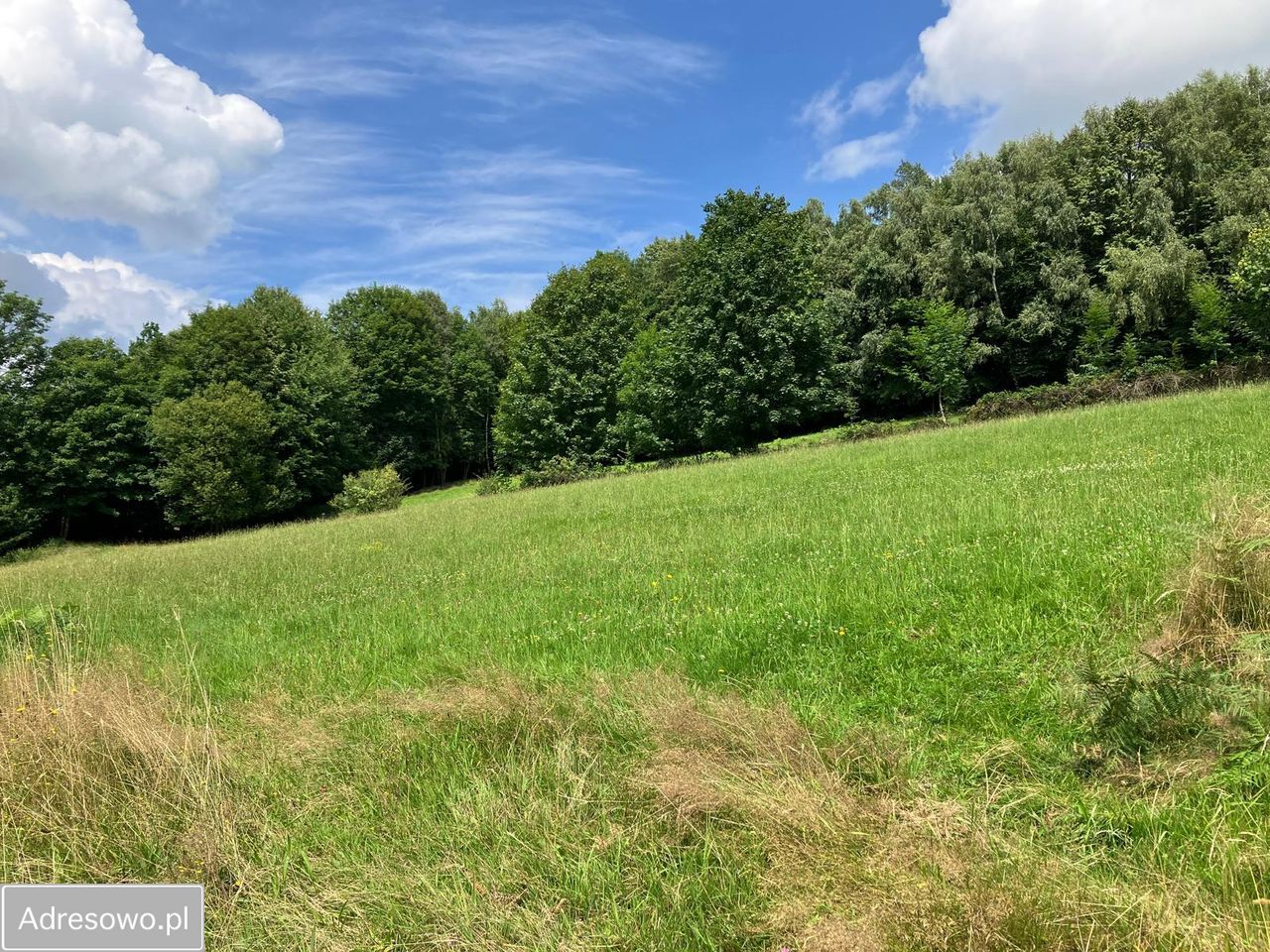 Działka budowlana Brenna, ul. Topolowa