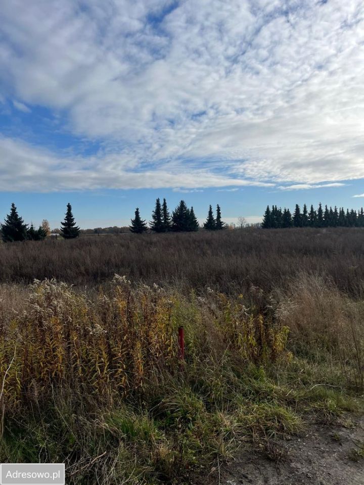 Działka rolno-budowlana Podkampinos. Zdjęcie 18