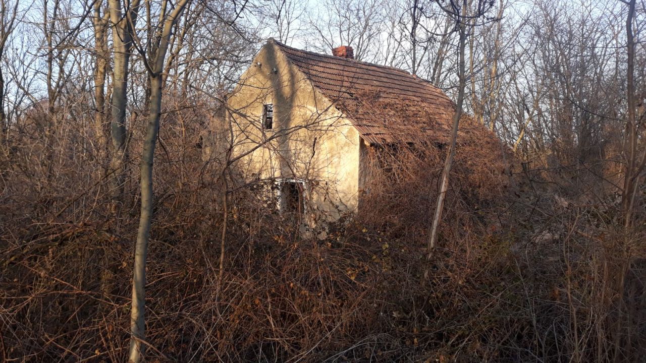 Działka rolno-budowlana Dobroszów. Zdjęcie 1