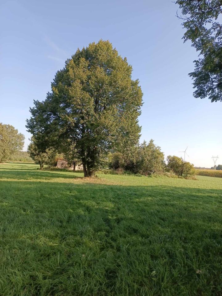 Działka budowlana Gołaszyny. Zdjęcie 2