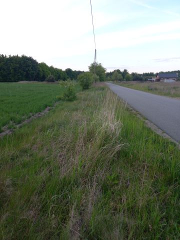 Działka budowlana Świeca. Zdjęcie 1