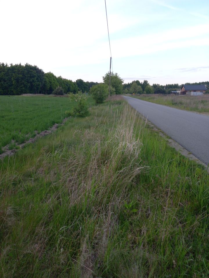 Działka budowlana Świeca. Zdjęcie 1