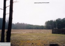 Działka rolna Chełsty. Zdjęcie 2