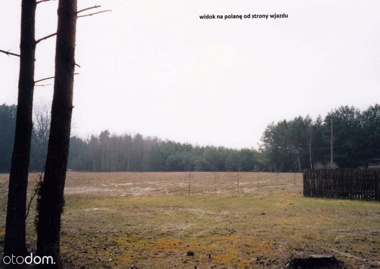 Działka rolna Chełsty. Zdjęcie 3