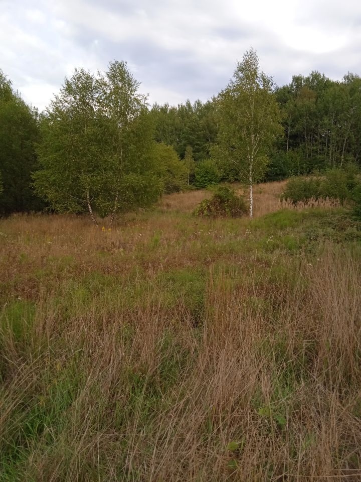 Działka budowlana Błędowa Tyczyńska. Zdjęcie 5