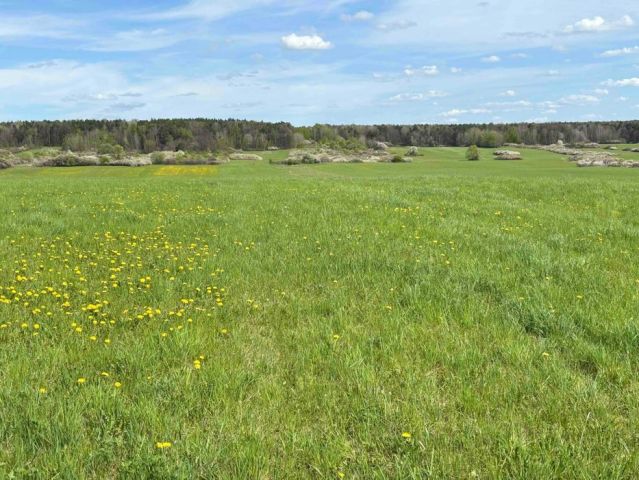 Działka budowlana Poręba Krawce, ul. Leszczynowa. Zdjęcie 1
