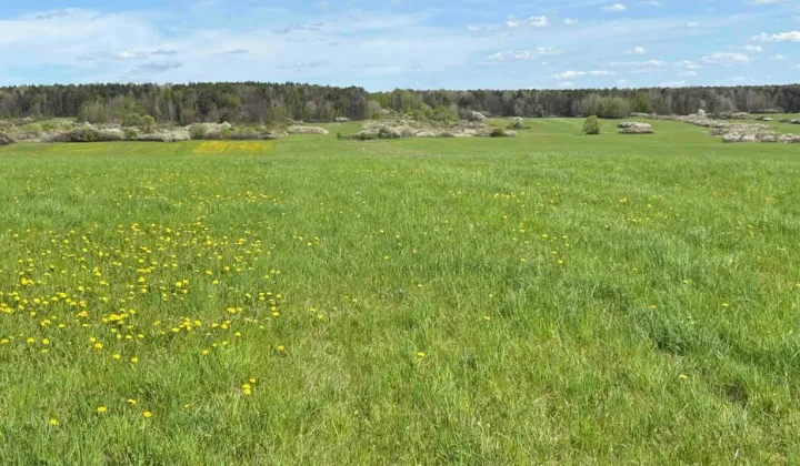 Działka budowlana Poręba Krawce, ul. Leszczynowa