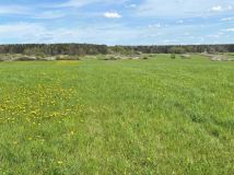Działka budowlana Poręba Krawce, ul. Leszczynowa