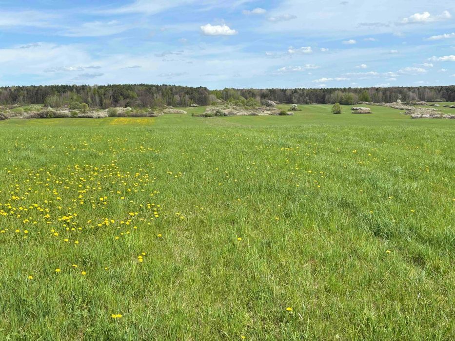 Działka budowlana Poręba Krawce, ul. Leszczynowa