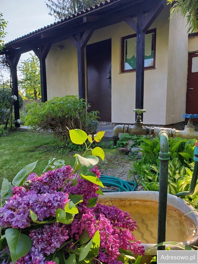 Działka rod Rumin. Zdjęcie 6