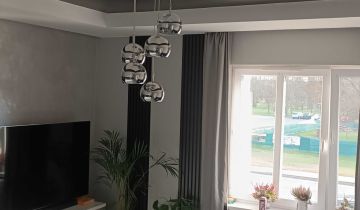 Mieszkanie 2-pokojowe Oleśnica