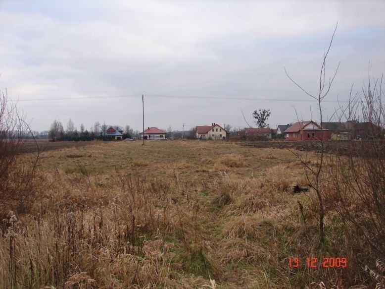 Działka rolna Kotowice. Zdjęcie 6