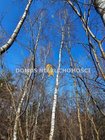 Działka Kopanka. Zdjęcie 2