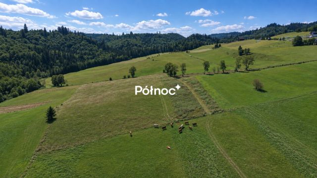 Działka budowlana Falsztyn, ul. Ogrodowa. Zdjęcie 8
