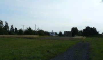 Działka budowlana Pszczyna, ul. Studzienicka