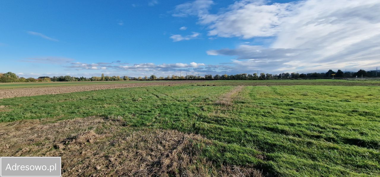 Działka budowlana Świebodzice. Zdjęcie 6