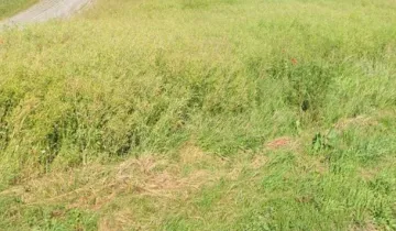 Działka na sprzedaż bez pośredników          
          
            ul. Leśna          
          
            Opalenie - Widok 6