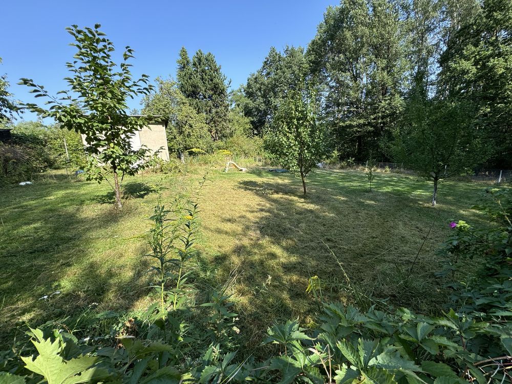 Działka rod Wilkanowo. Zdjęcie 5