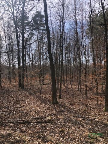 Działka Katowice Murcki, ul. Walerego Goetla. Zdjęcie 2