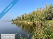 Działka budowlana Brzumin. Zdjęcie 1