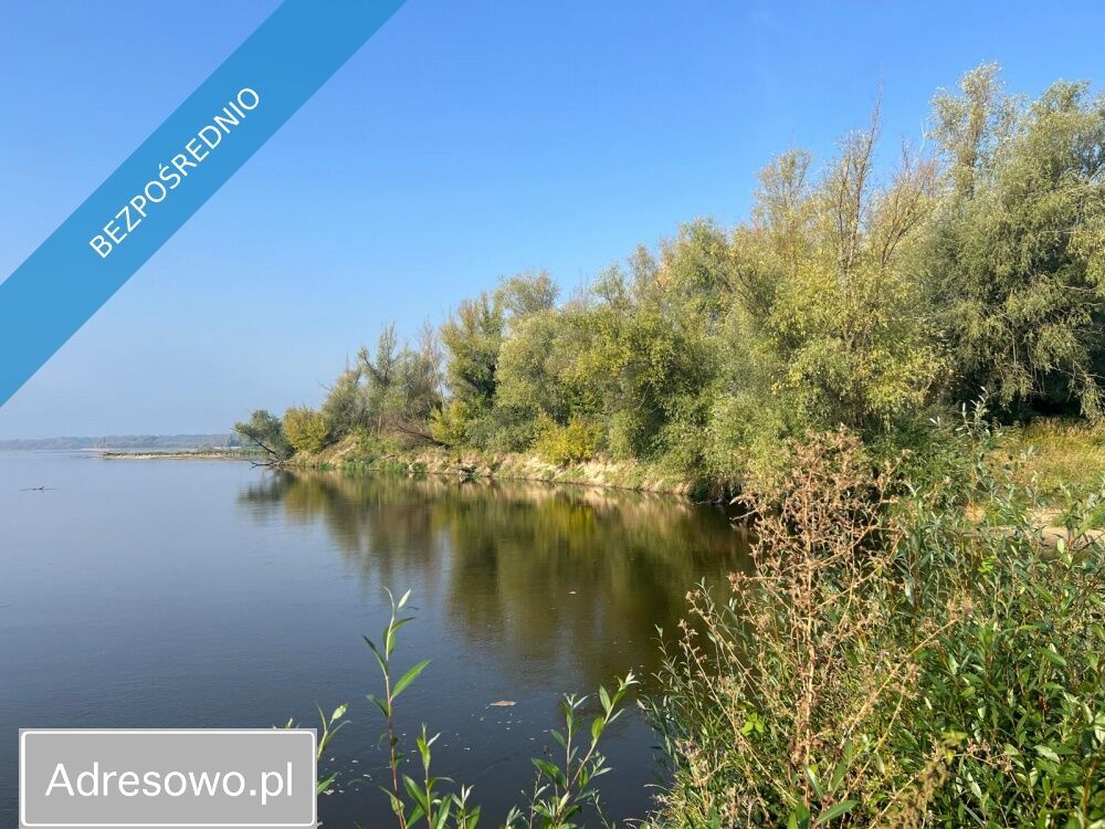 Działka budowlana Brzumin. Zdjęcie 2