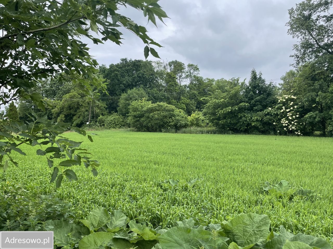 Działka rolno-budowlana Wróble. Zdjęcie 7