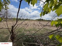 Działka rolno-budowlana Stary Łuszczewek. Zdjęcie 4