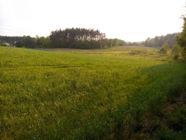 Działka rolno-budowlana Rokocin. Zdjęcie 1