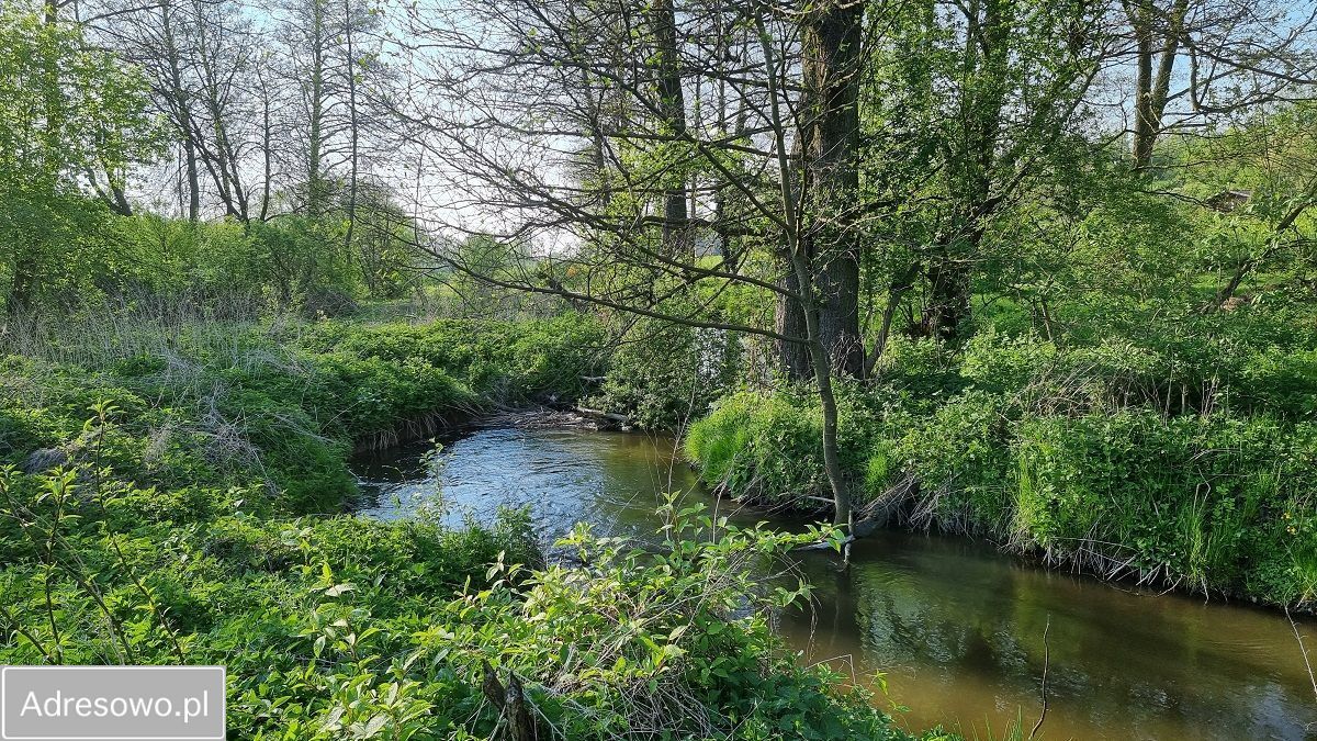 Działka rolna Łąki. Zdjęcie 14