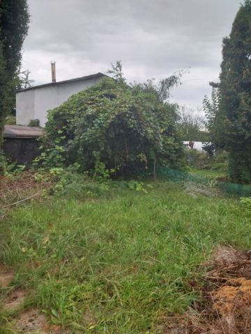 Działka rod Zabrze, ul. Ogrodowa. Zdjęcie 1