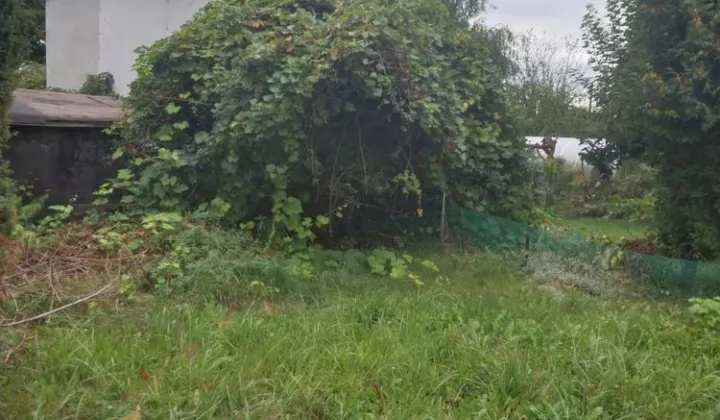 Działka rod Zabrze, ul. Ogrodowa