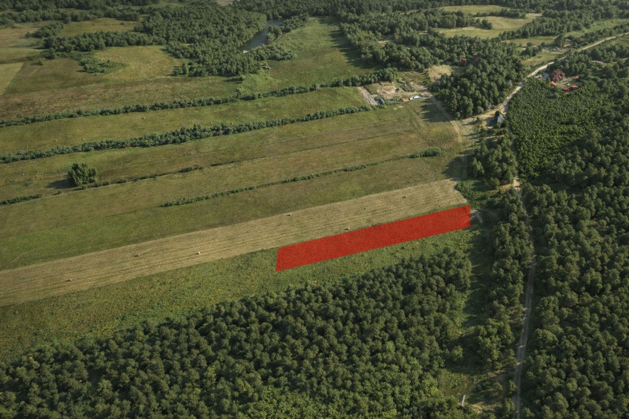 Działka rolna Karwik. Zdjęcie 5