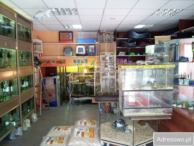 dom wolnostojący Warszawa Wesoła, ul. 1 Praskiego Pułku. Zdjęcie 3