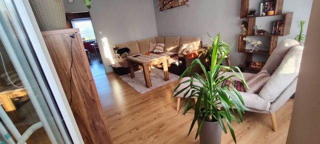 Gliwice Kopernik Mieszkanie - 2 pokoje - 52 m² - 6 piętro