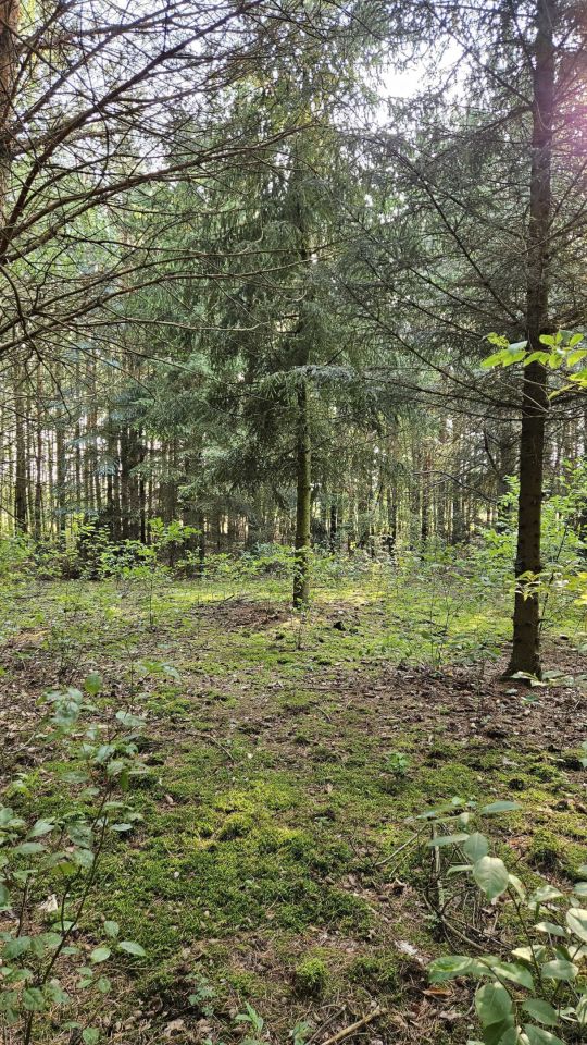 Działka rekreacyjna Popielżyn-Zawady. Zdjęcie 1