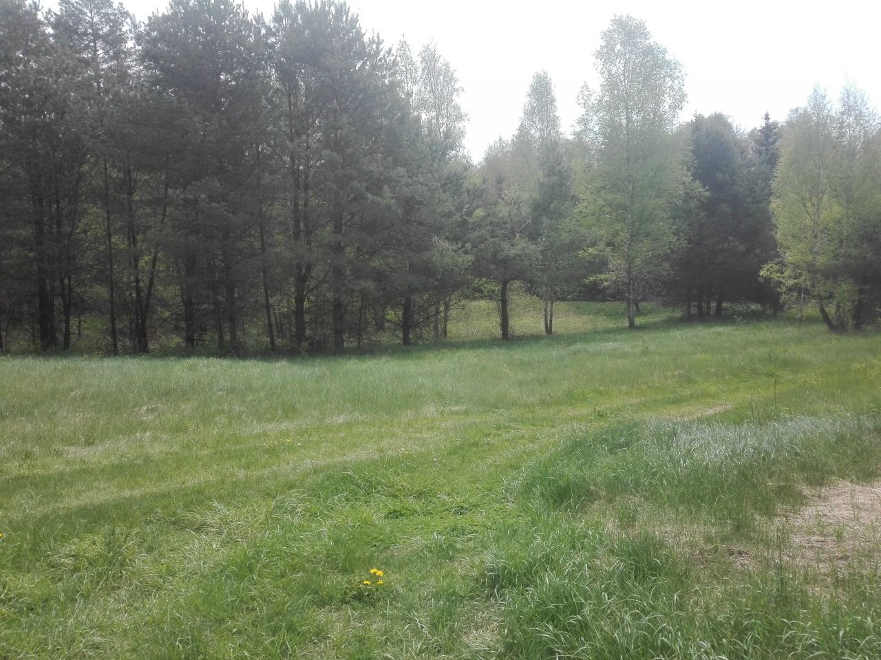 Działka Gawiniańce. Zdjęcie 7