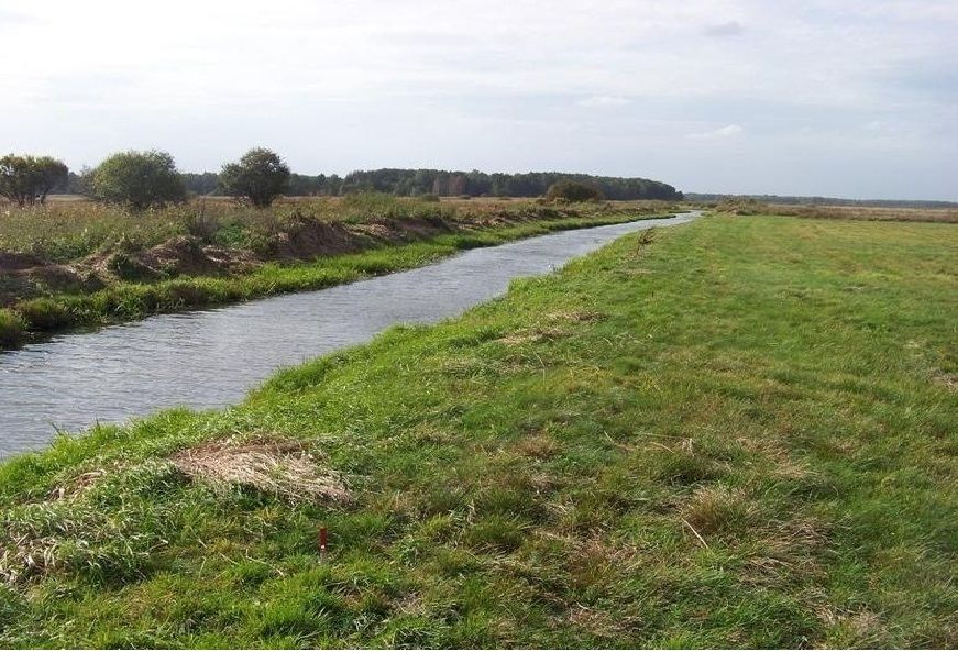 Działka rekreacyjna Ozorów