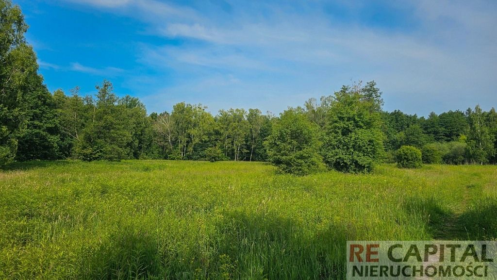 Działka budowlana Laski. Zdjęcie 10