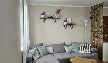 Mieszkanie 3-pokojowe Legnica